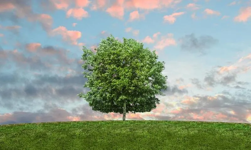 Film dokumentalny naukowy