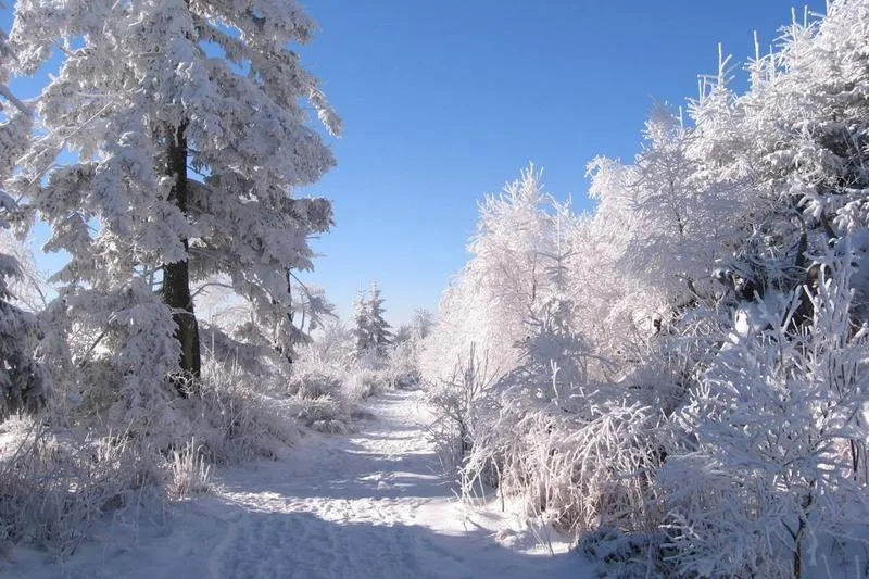 Platformy streamingowe Szadz