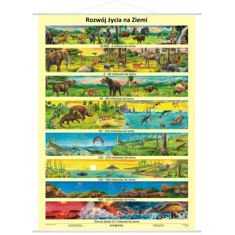 Zjawiska kosmiczne a życie na Ziemi